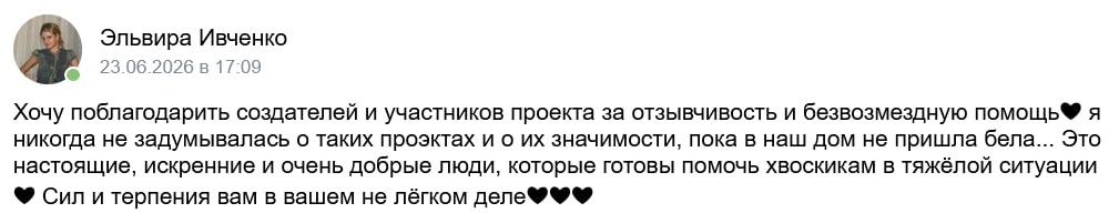 Отзыв Эльвиры Ивченко