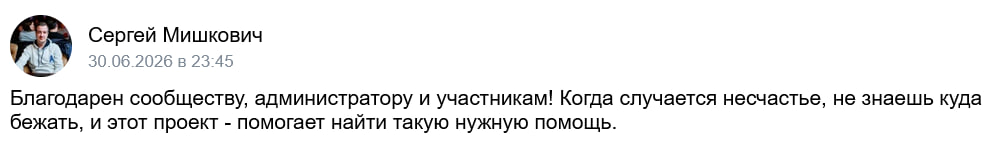 Отзыв Сергея Мишковича
