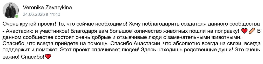 Отзыв Veronika Zavarykina